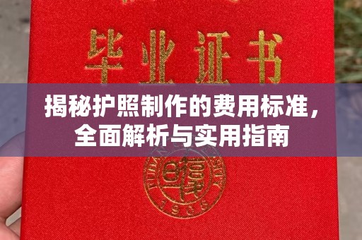 巴彦淖尔揭秘护照制作的费用标准，全面解析与实用指南